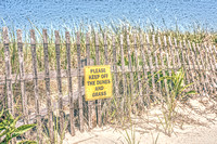 Keep Off The Dunes
