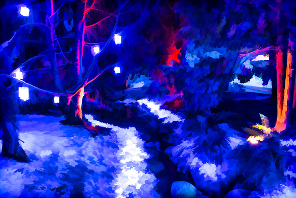 Illuminated Forest