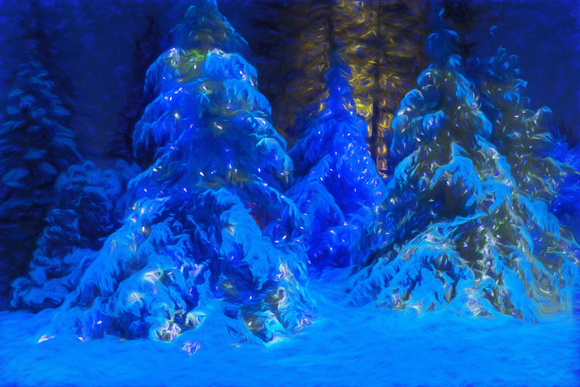 Lights on Snowy Trees