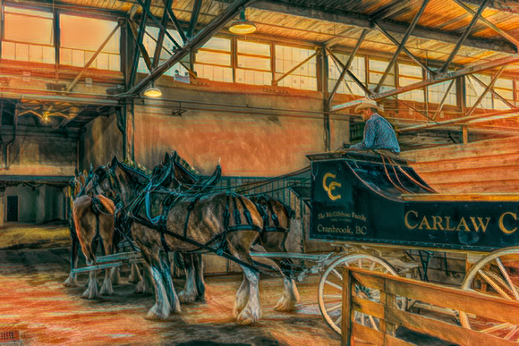 Horses & Wagon at the PNE