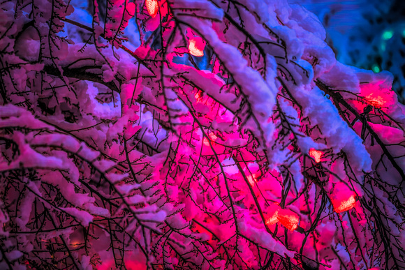 Branches, Snow & Lights