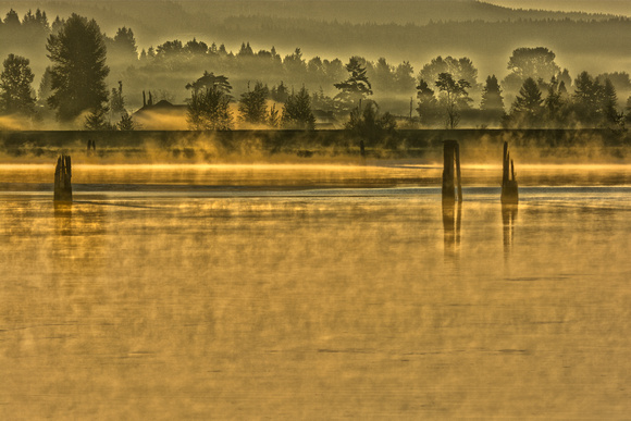 Golden Morning on the River