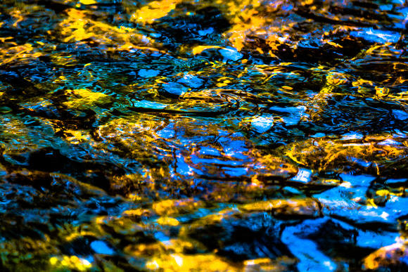 Reflections on a Stream